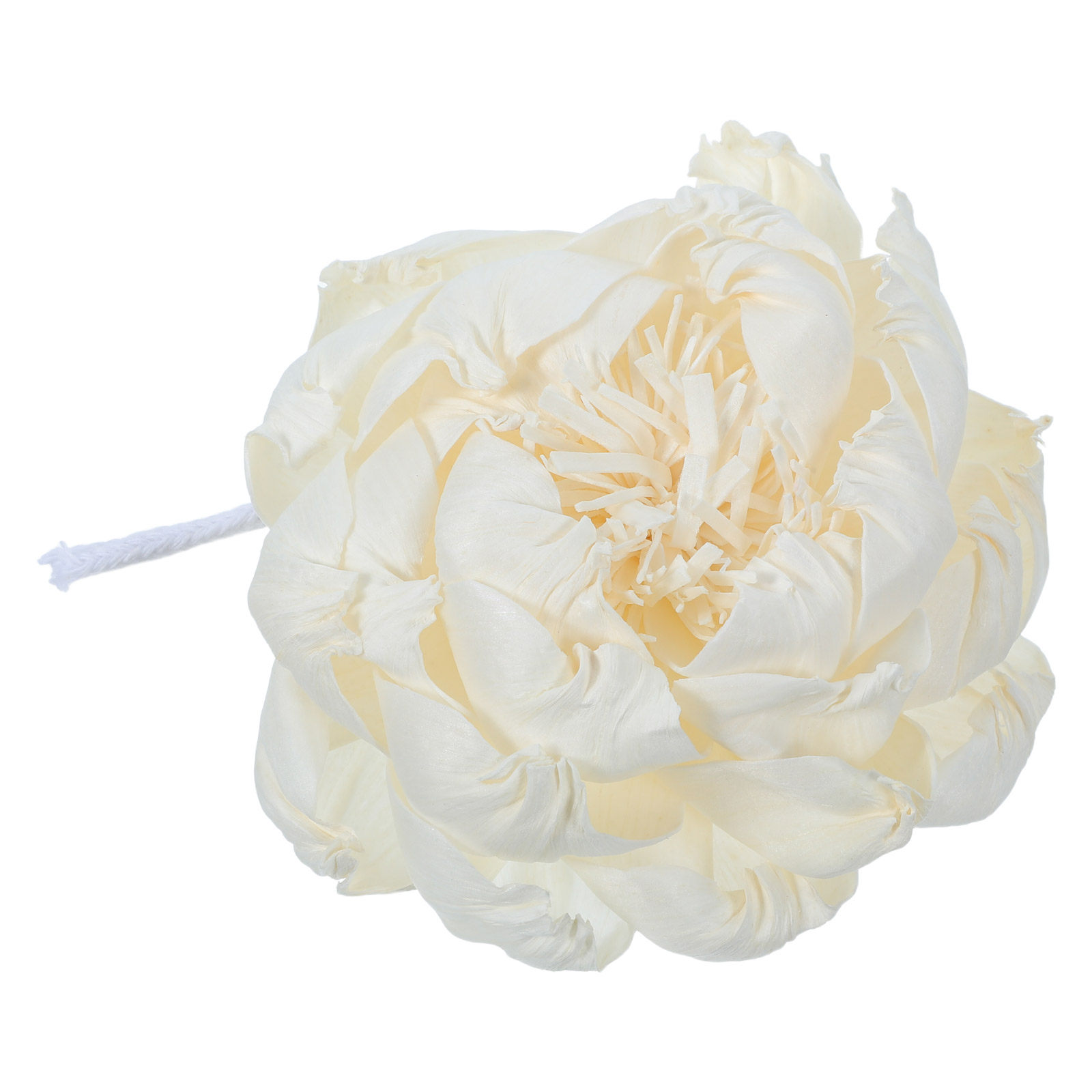 เครื่องกระจายกลิ่นหอมดอกโบตั๋น - Home And You Fragrance Diffuser บทวิจารณ์และราคา